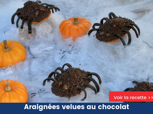 Araignées velues au chocolat